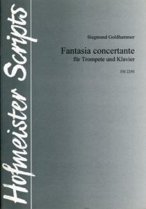 Goldhammer, S.: Fantasia Concertante