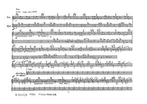 Kevin Volans: Walking Song (Performance Score)