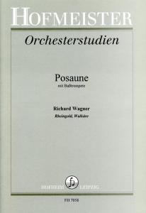 Wagner: Orchestral Studies - Rhinegold