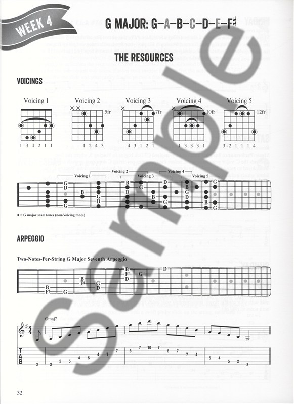 Troy Nelson: Fretboard Freedom