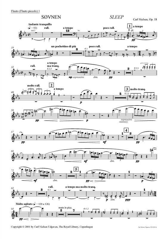 Carl Nielsen: Sleep (Svnen) Op.18 (Parts)